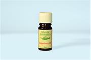 Atlantic Aromatics Juniperberry Essential Oil 